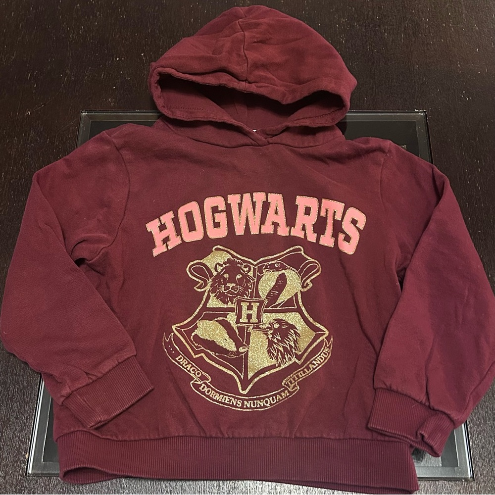 H&M Hogwarts Harry Potter Licensed Maroon Pink & Gold Sparkle Kids Hoodie 6X